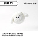 Magic Bouncy Ball Pet Toys