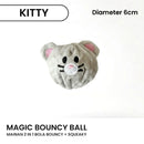 Magic Bouncy Ball Pet Toys