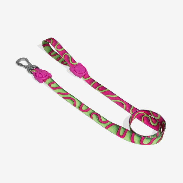 H3D Jelly Regular Leash