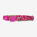 H3D Jelly Cat Regular Collar