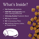 Calming Promotes Relaxation Soft Chews for Dogs