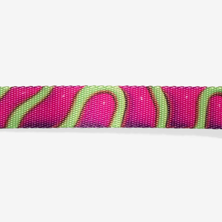 H3D Jelly Cat Regular Collar