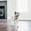 Beef Tripe Bone Durable Dog chew Toy