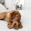 Beef Tripe Bone Durable Dog chew Toy