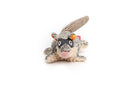 Plush Friendz Small Racoon with Squaker inside
