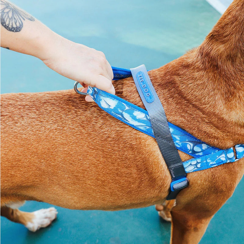 Fly Softerwalk Harness