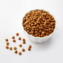 Signature Digestive Control Dog Food - 1kg