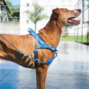 Fly Softerwalk Harness