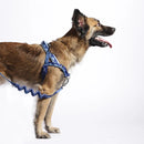 Swell Softerwalk Harness