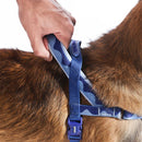 Swell Softerwalk Harness