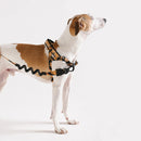 Bossa Banana Softerwalk Harness