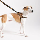Bossa Banana Softerwalk Harness