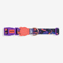 Reebok Court Regular Dog Collar