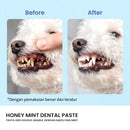 Honey Mint Dental Paste for Pets