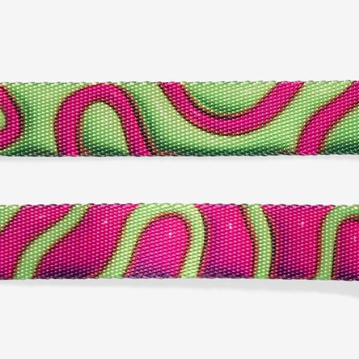 H3D Jelly H Harness