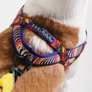 Samba Softerwalk Harness