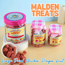 Freeze Dried Chicken and Dragon Fruit Dog & Cat Treats
