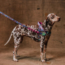 Reebok Aerobic Softerwalk Harness