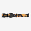 Bossa Bandana Classic Dog Collar