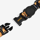 Bossa Bandana Classic Dog Collar