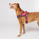 Selva Fly Harness