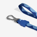 Swell Classic Dog Leash