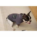 Chrome Paws Hoodie