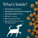 Multivitamin Soft Chews for Dogs