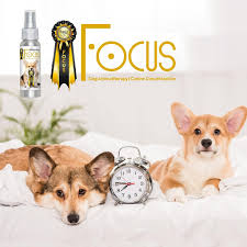 Focus Dog Aromatherapy