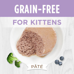 Original Grain-Free Chicken Recipe for Kitten Wet Cat Food