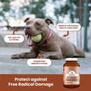 Kala Health Immunix Dog & Cat Vitamin