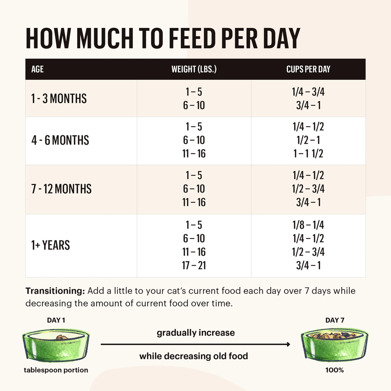 Whole Food Clusters Turkey & Chicken Recipe Grain-Free Dry Cat Food