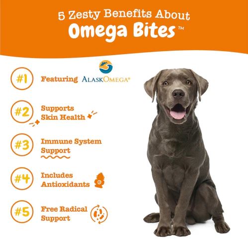 Skin & Coat Omega Bites Chicken Flavor Soft Chews For Dogs - Pouch