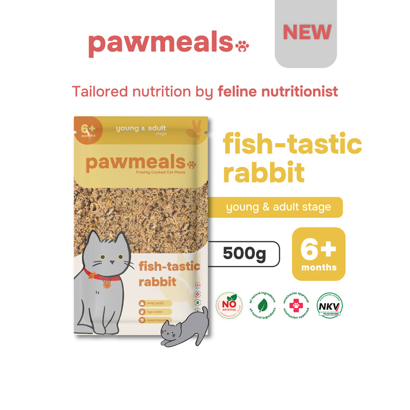 Fish - tastic Rabbit Cooked Cat Food