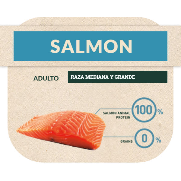 Grain-Free Salmon Large/Medium Breed Adult Dry Dog Food