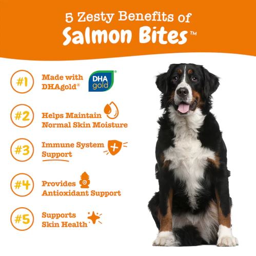 Skin Health Salmon Bites Salmon Flavor For Dogs - Jar