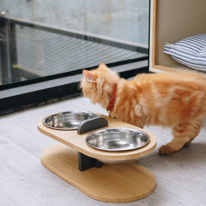 RAIZO Pet Feeder with Bowl