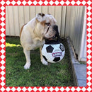 Jumball With Rubber Dog Toy