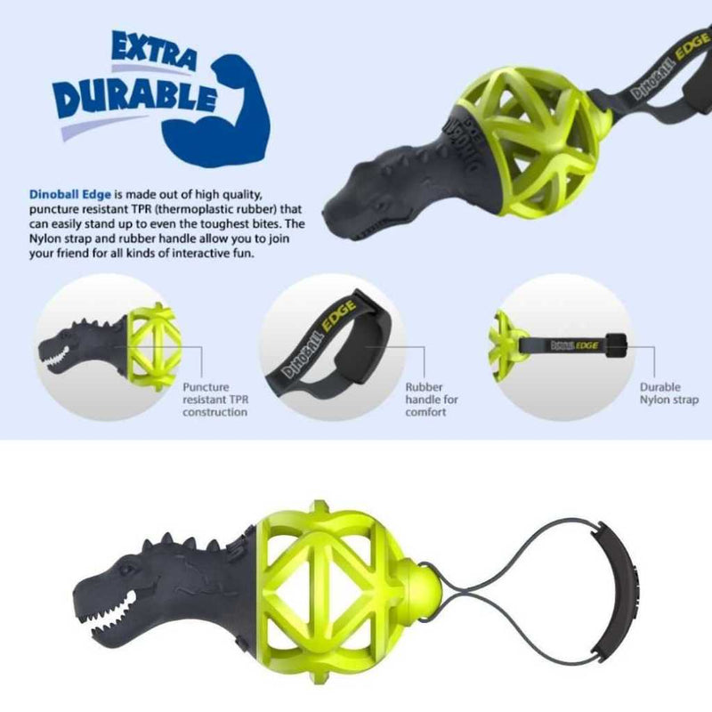 Dino Ball Edge Dog Toy