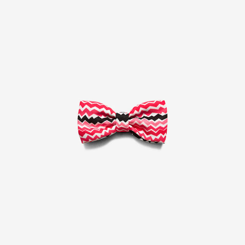 Maui Bowtie