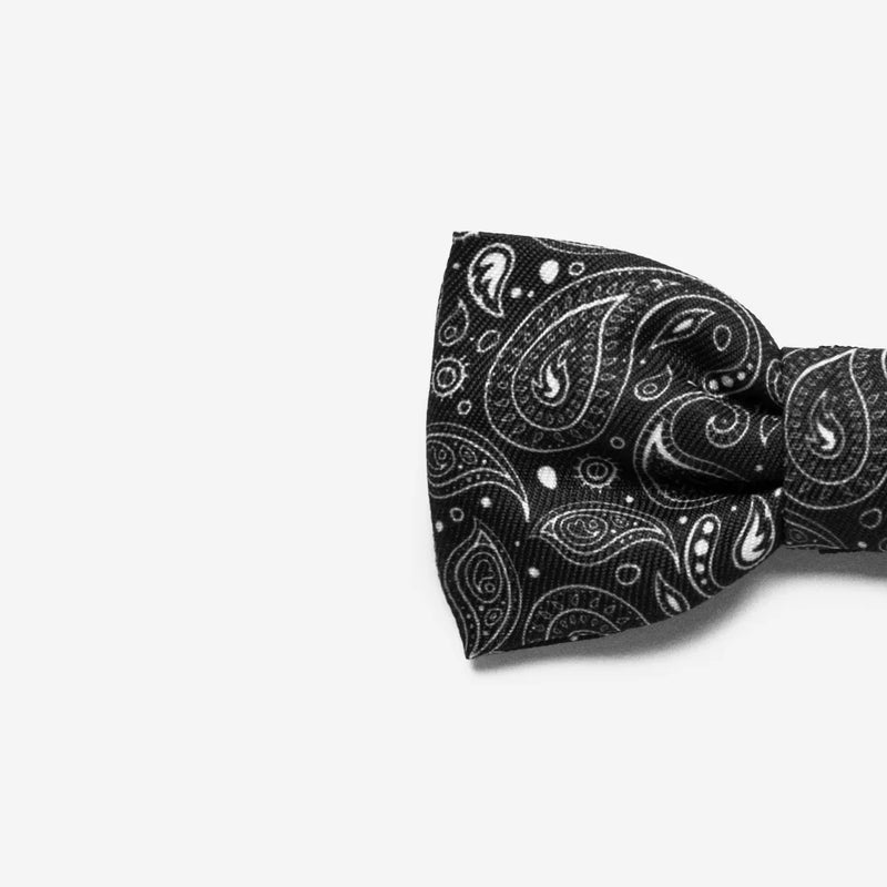 Paisley Bowtie