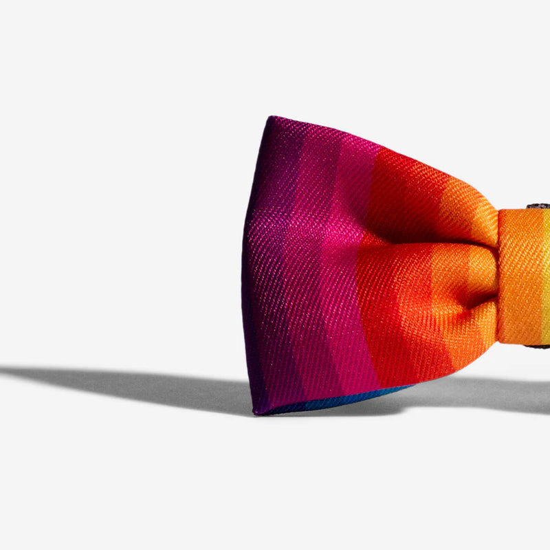 Prisma Bowtie