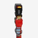 Homer Simpson Dog Collar