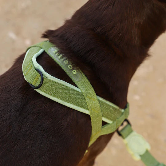 Moss Softer Walk Harness