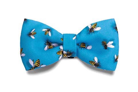 Buzz Bowtie