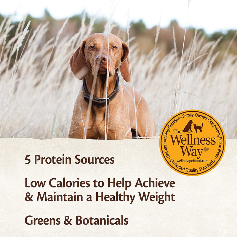 CORE Turkey, Pork Liver, & Duck Formula Grain-Free Canned Dog Food