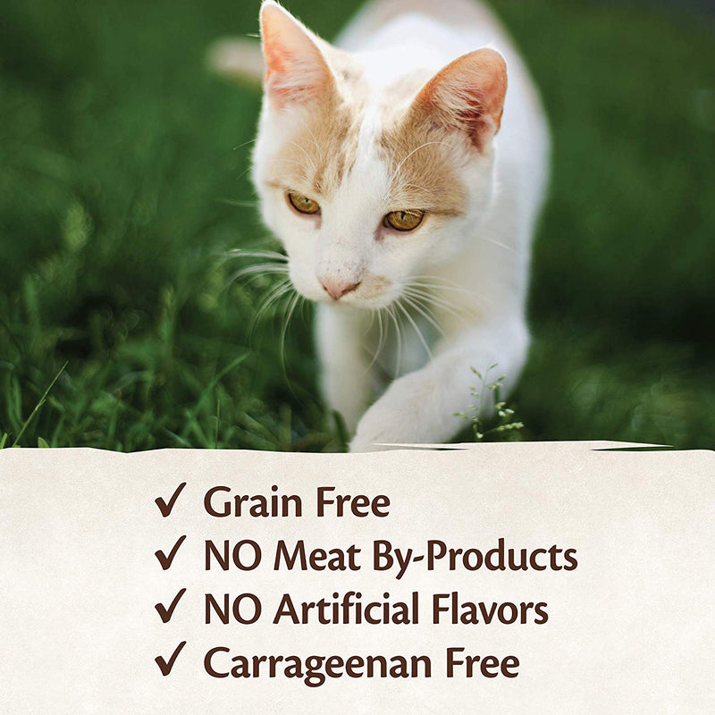 CORE 95% Chicken & Salmon Grain-Free Canned Cat Food