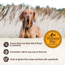 CORE RawRev Original + 100% Raw Turkey Grain Free Dry Dog Food