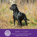 Complete Health Ninety-Five Percent Turkey Grain-Free Dog Food