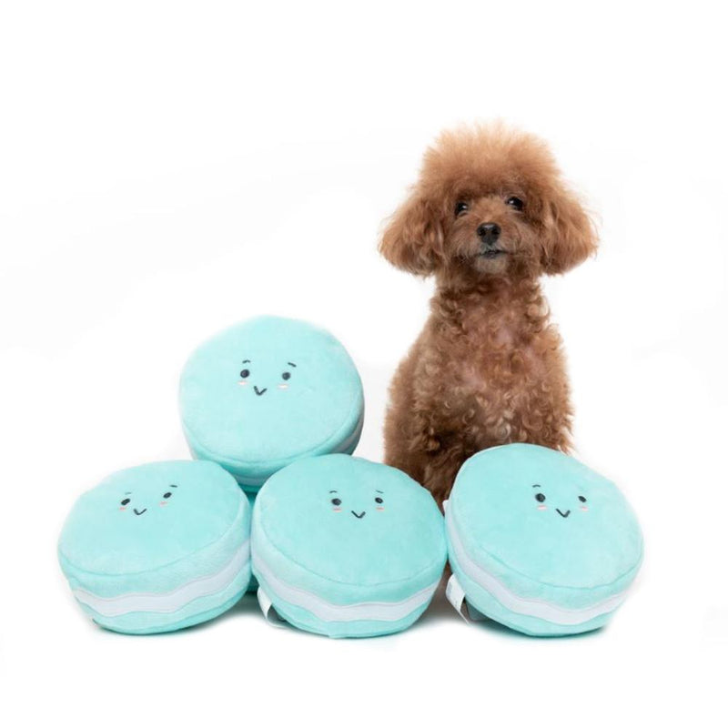 Hide N Seek  – Macaron Dog Toy